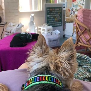 Meet your Posher, Carla